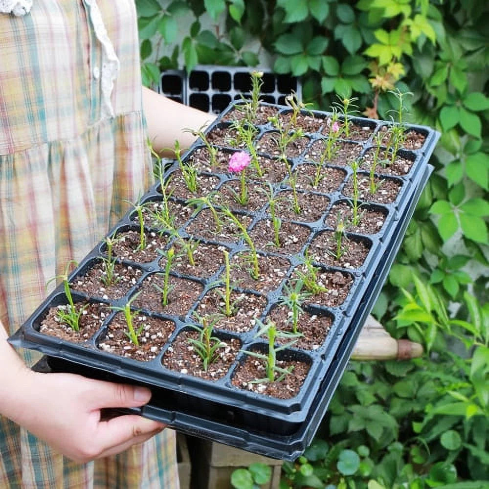 Professional Title: "Durable Seed Starter Tray for Seedlings, Germination, and Microgreens"