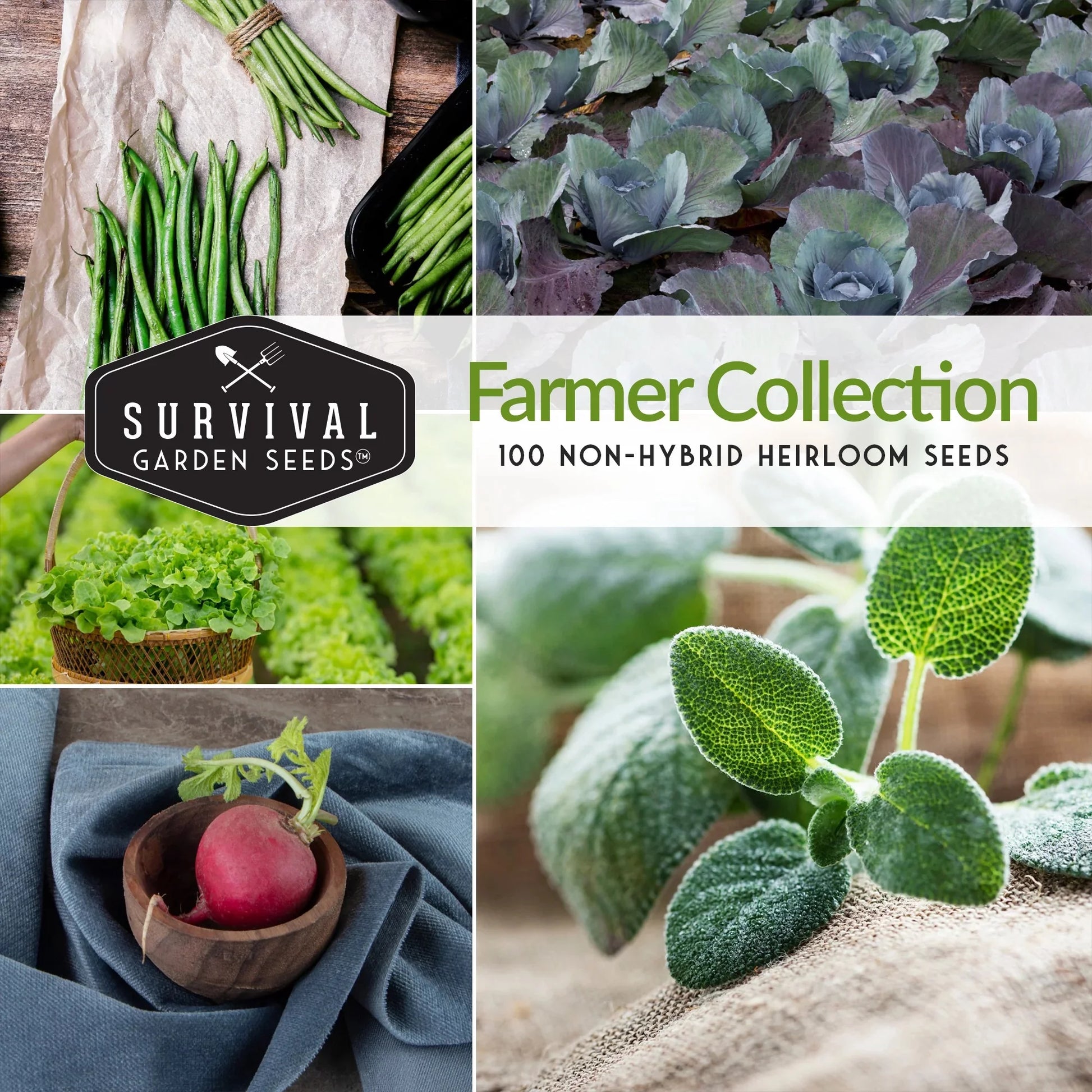 100 Pack Farmer Collection Vegetable Seeds - Non GMO Heirloom Varieties for Survival Food - Emergency Seed Bank Survival Gear