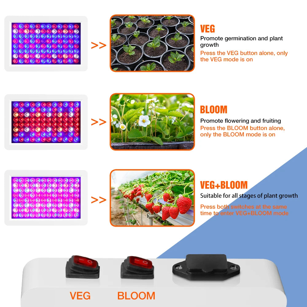 Grow Light Greenhouse Led Grow Lamp 220V LED Grow Light Bulb Full Spectrum Phyto Grow Indoor Tent Indoor Veg Flowers 4000W 5000