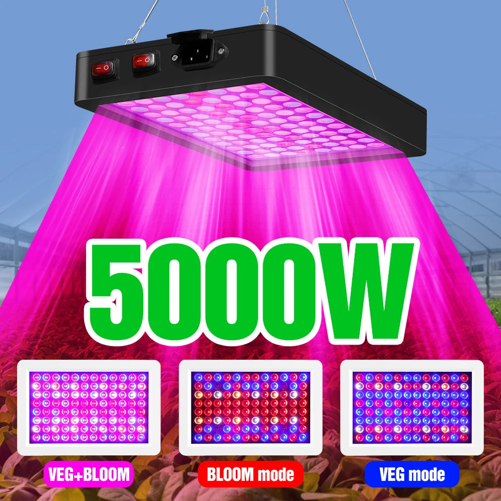 Grow Light Greenhouse Led Grow Lamp 220V LED Grow Light Bulb Full Spectrum Phyto Grow Indoor Tent Indoor Veg Flowers 4000W 5000